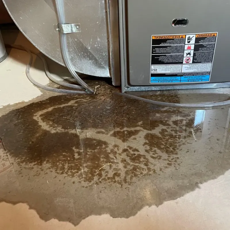 Pipe Burst and Leak Restoration in Maple Glen, PA